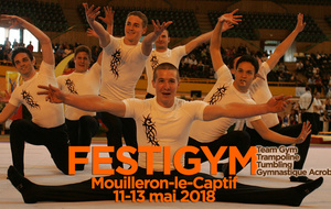 Championnat de France Teamgym  MOUILLERON LE CAPTIF