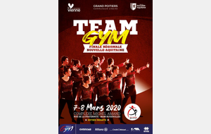 Championnat Régional Team-Gym